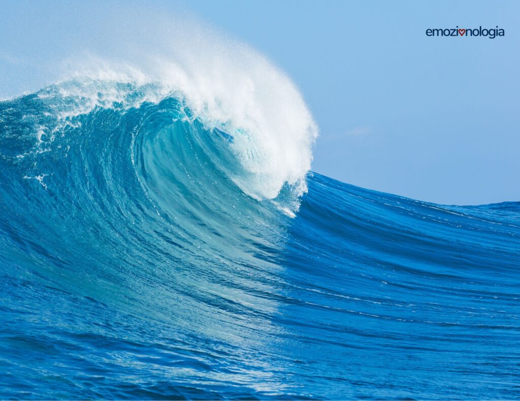 Naviga il mare delle tue emozioni